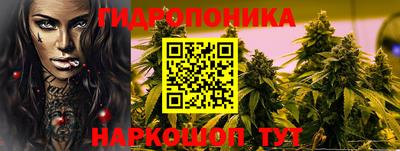 индика Свободный