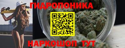 индика Свободный